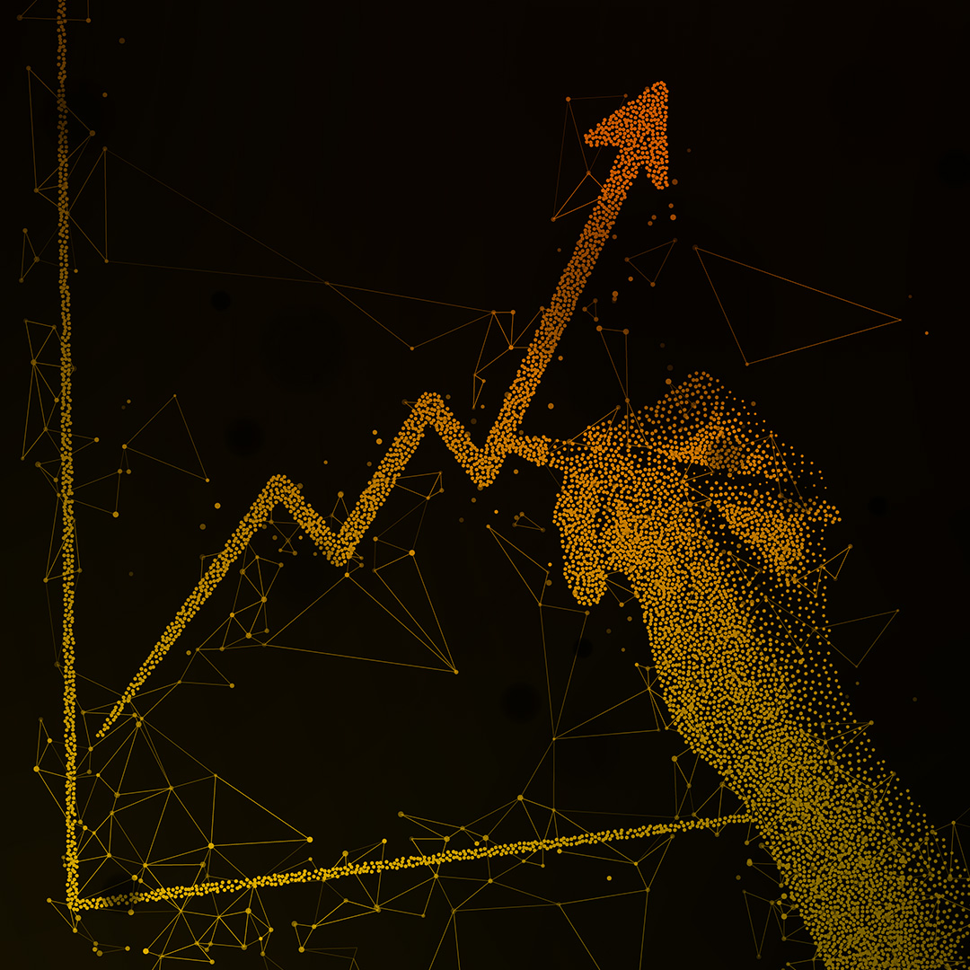 Drive results with targeted digital advertising campaigns.
